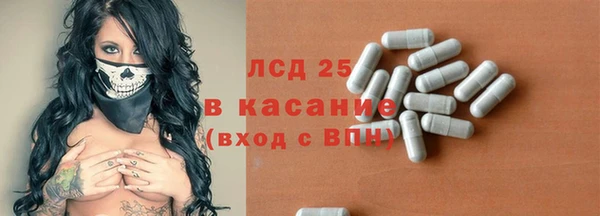 прущие грибы Заволжск