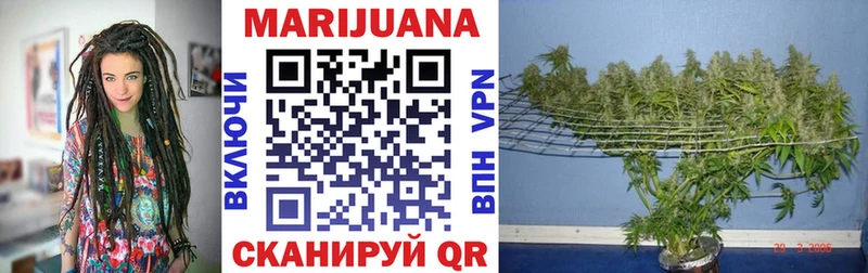 Конопля план Оленегорск